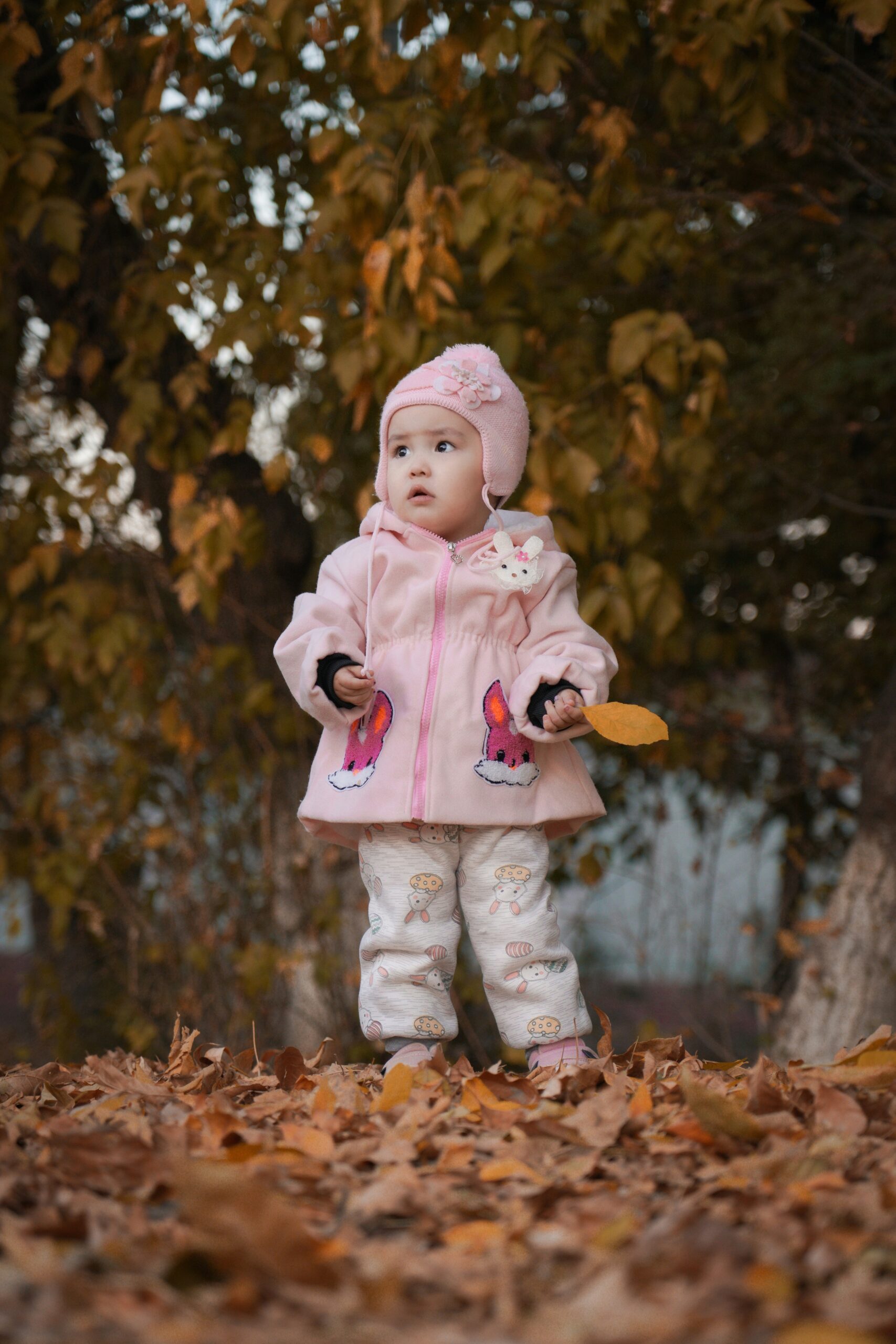 L'automne à la micro crèche
